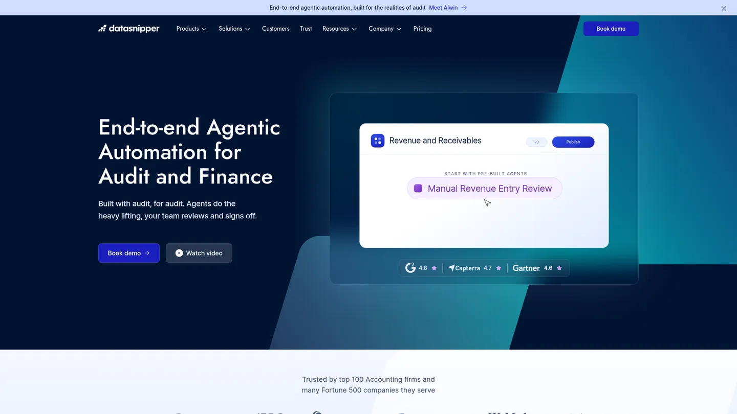 DataSnipper website homepage